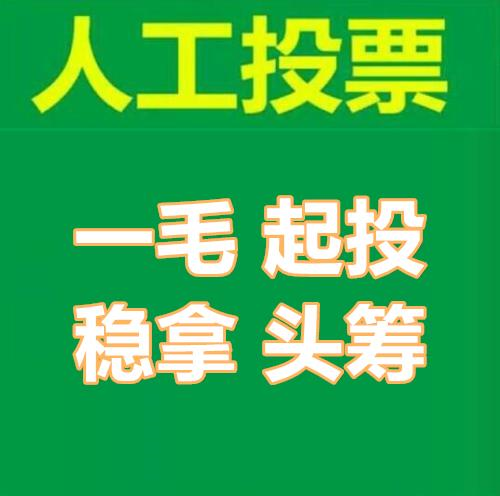 普通人工投票如何收费 人工投票20块钱100