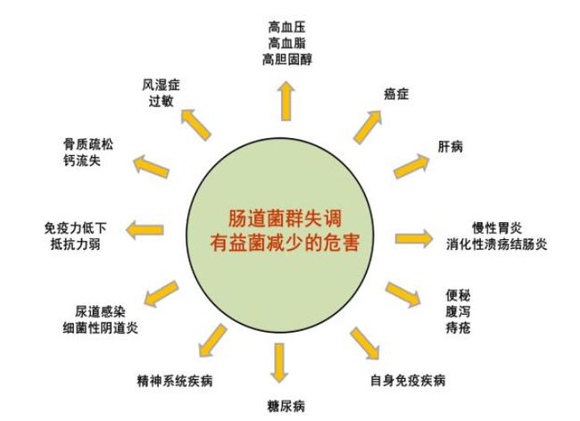 益生菌的做作用 益生菌的作用与功効