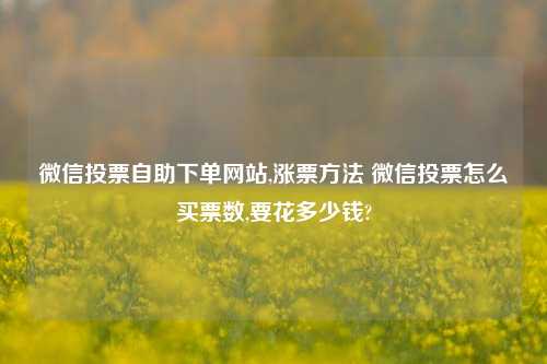 微信投票自助下单网站,涨票方法 微信投票怎么买票数,要花多少钱?