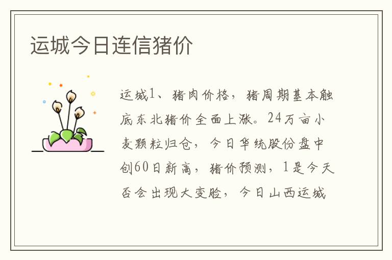 运城今日连信猪价