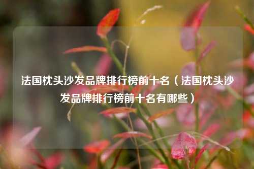 法国枕头沙发品牌排行榜前十名（法国枕头沙发品牌排行榜前十名有哪些）