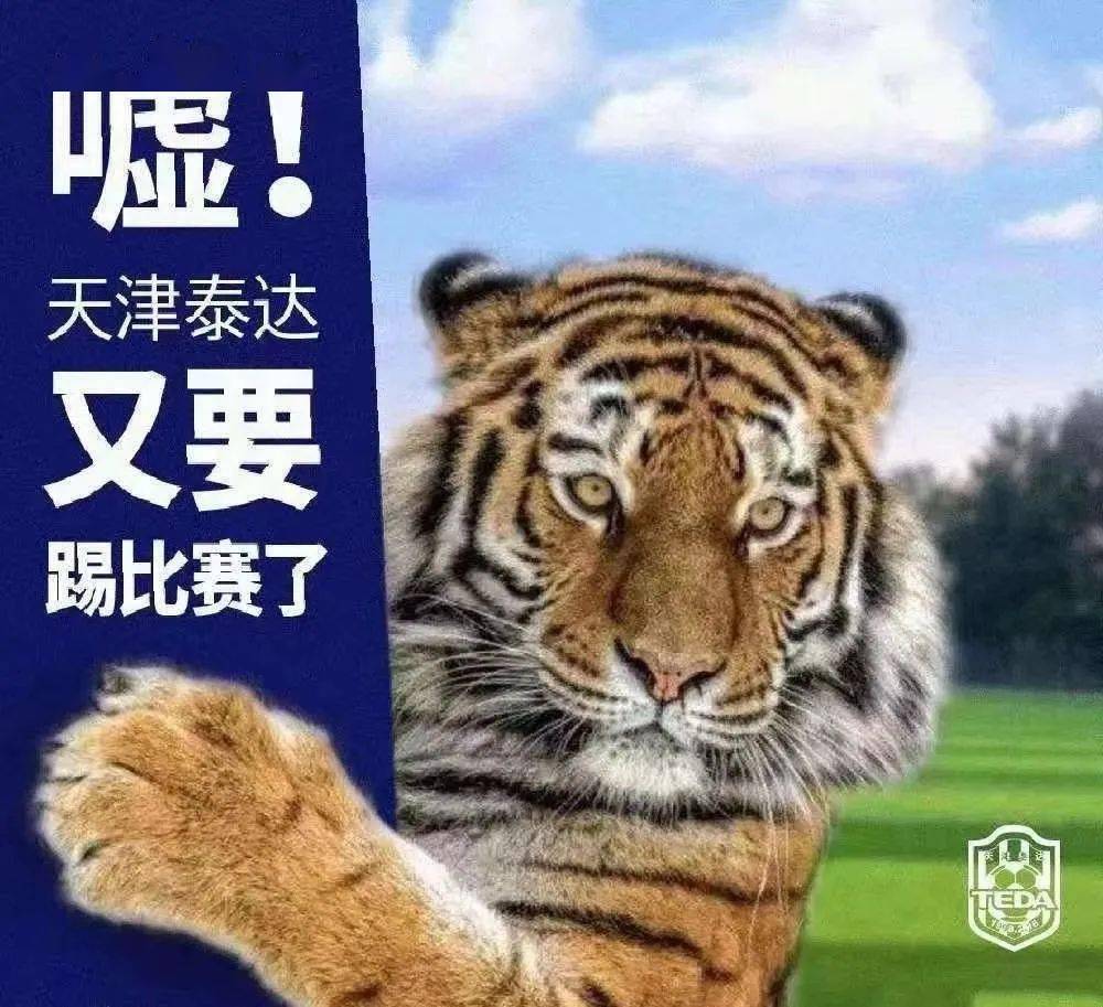 那苏龙魏虎为媒证歌词__影响连接重要性的因素主要有