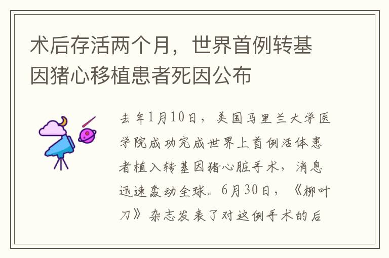 术后存活两个月，世界首例转基因猪心移植患者死因公布